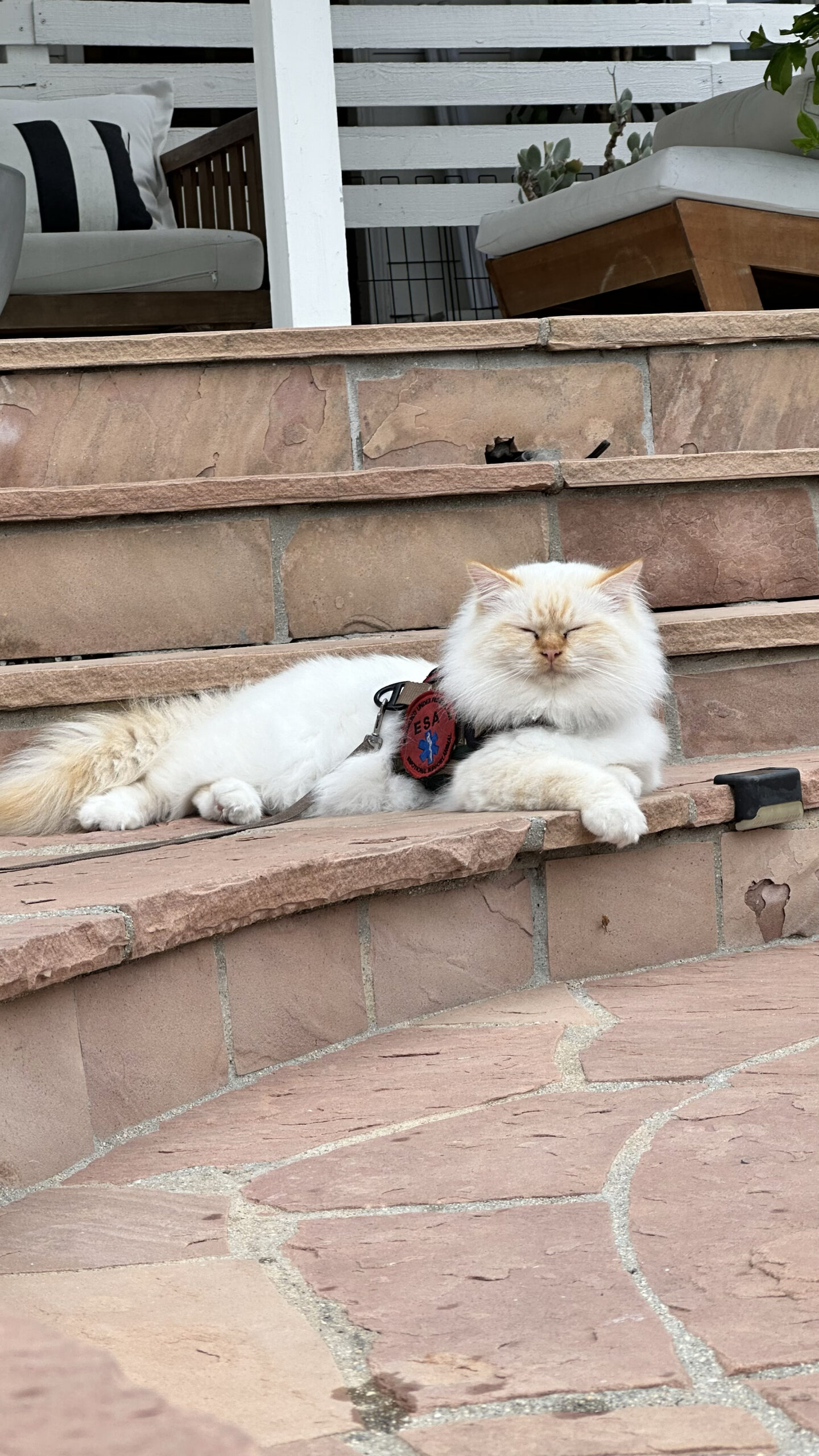 Healing in Public: Owning My Story After the Storm